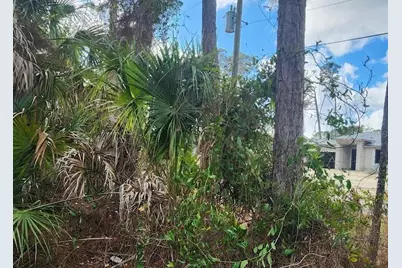 Ananas Road, North Port, FL 34288 - Photo 4