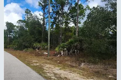 Ananas Road, North Port, FL 34288 - Photo 6