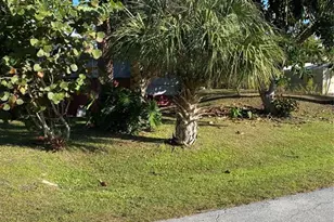 11176 Grapefruit Ln, Punta Gorda, FL 33955 - Photo 22