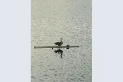 1109 Appian Drive, Punta Gorda, FL 33950 - Photo 38