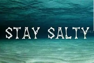 2351 Easy St, Port Charlotte, FL 33952 - Photo 68