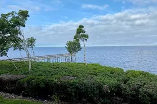 95 Marion Ct N, Punta Gorda, FL 33950 - Photo 48