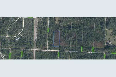 810 Pacific Street, Lake Placid, FL 33852 - Photo 1