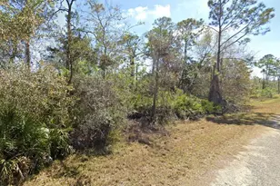 810 Pacific St, Lake Placid, FL 33852 - Photo 1