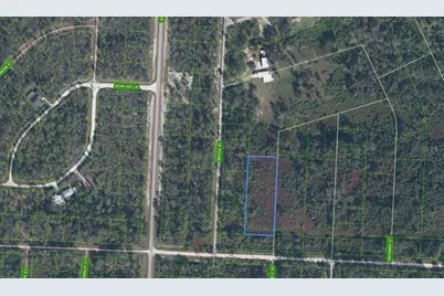 810 Pacific Street, Lake Placid, FL 33852 - Photo 4