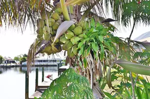 107 Sinclair St SE, Port Charlotte, FL 33952 - Photo 92