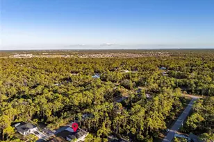 1201 Lotus St, Port Charlotte, FL 33953 - Photo 38