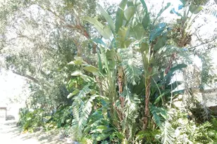 2720 Jay Pl, Sarasota, FL 34235 - Photo 18