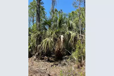 49765 Bermont Road, Punta Gorda, FL 33982 - Photo 6