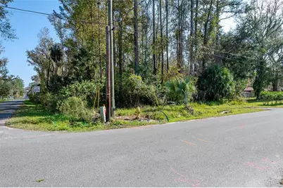 55848 Fern Road, Astor, FL 32102 - Photo 4