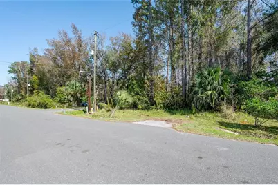 55848 Fern Road, Astor, FL 32102 - Photo 6