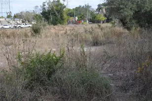 1472 Williams Gray Ct, Avon Park, FL 33825 - Photo 8