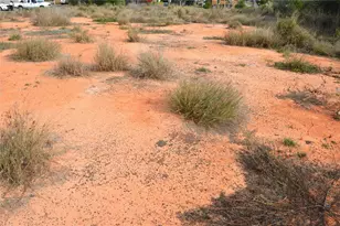 1472 Williams Gray Ct, Avon Park, FL 33825 - Photo 12