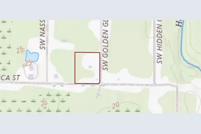 2207 SW Blossom Avenue, Arcadia, FL 34266 - Photo 40