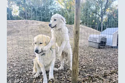 2207 SW Blossom Avenue, Arcadia, FL 34266 - Photo 8