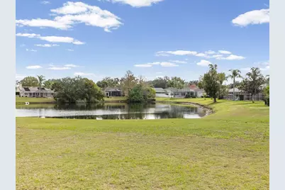 19719 Spring Willow Court, Odessa, FL 33556 - Photo 48