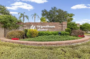 19719 Spring Willow Ct, Odessa, FL 33556 - Photo 58