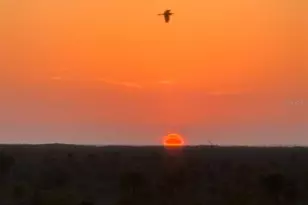 14061 Heritage Landing Blvd, Punta Gorda, FL 33955 - Photo 40