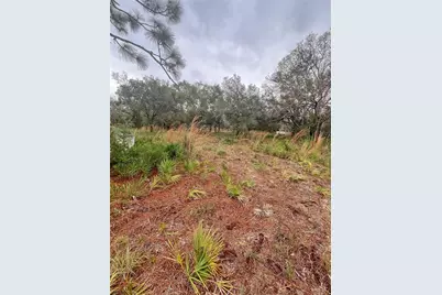 4683 SE Rye Avenue, Arcadia, FL 34266 - Photo 4