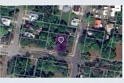 702 Olive Street, Palatka, FL 32177 - Photo 1