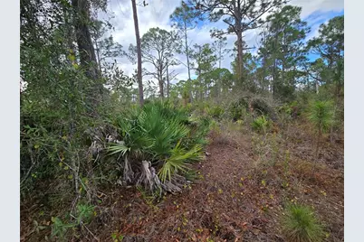 27571 Sandrala Drive, Punta Gorda, FL 33955 - Photo 4