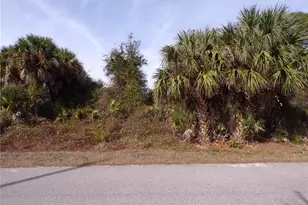 Brewster Rd, North Port, FL 34288 - Photo 1