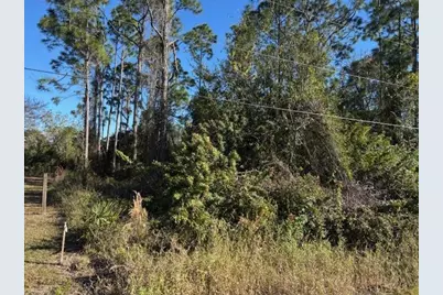 13636 Sulky Drive, Punta Gorda, FL 33955 - Photo 2