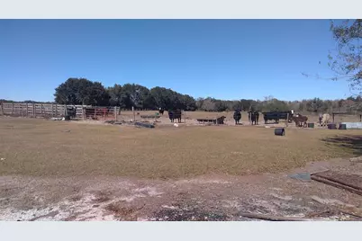 12051 Avon Park Cut Off Road, Fort Meade, FL 33841 - Photo 10