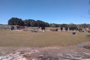 12051 Avon Park Cut Off Rd, Fort Meade, FL 33841 - Photo 10