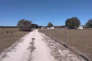 12051 Avon Park Cut Off Rd, Fort Meade, FL 33841 - Photo 8