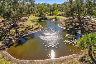 29414 Pine Villa Cir, Punta Gorda, FL 33982 - Photo 28