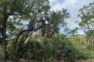 2433 Largo St, Punta Gorda, FL 33980 - Photo 1