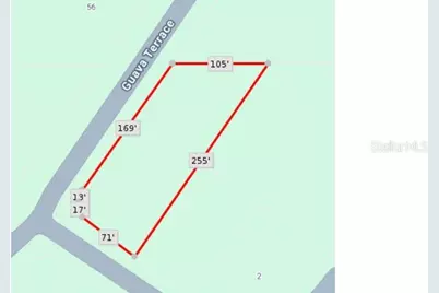 Lot 1 Guava Terrace, Ocklawaha, FL 32179 - Photo 2