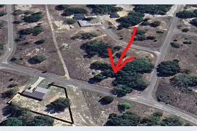 Lot 1 Guava Terrace, Ocklawaha, FL 32179 - Photo 4