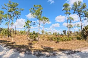 12196 Caravan Dr, Punta Gorda, FL 33955 - Photo 1