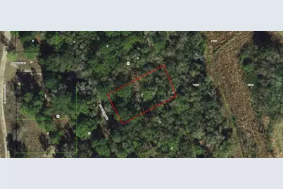 1006 Ferncreek Avenue, Inverness, FL 34453 - Photo 1