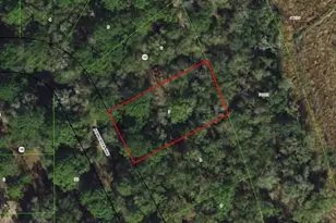 1006 Ferncreek Ave, Inverness, FL 34453 - Photo 1