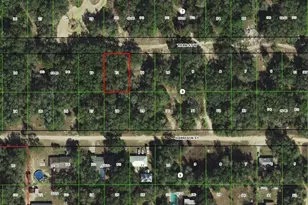 2909 Tyler St, Inverness, FL 34453 - Photo 1