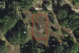 2407 Tyler St, Inverness, FL 34453 - Photo 1