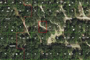 3003 Polk St W, Inverness, FL 34453 - Photo 1