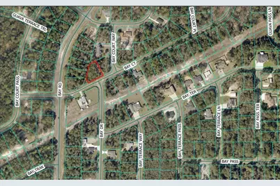 Bay Court, Ocklawaha, FL 32179 - Photo 1