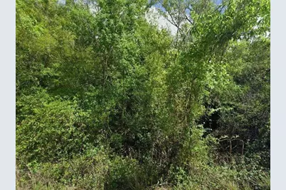 8115 SW Horse Creek Road, Arcadia, FL 34266 - Photo 2