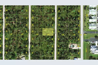 3295 Tiffiny Street, Punta Gorda, FL 33980 - Photo 1