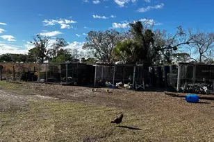 15080 NW 12th Terrace, Okeechobee, FL 34972 - Photo 40