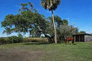 15080 NW 12th Terrace, Okeechobee, FL 34972 - Photo 8