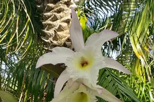 387 Viceroy Terrace, Port Charlotte, FL 33954 - Photo 44