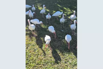 387 Viceroy Terrace, Port Charlotte, FL 33954 - Photo 42