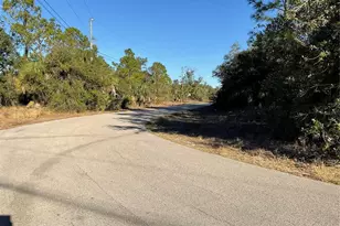 2431 Waller Rd, North Port, FL 34288 - Photo 66