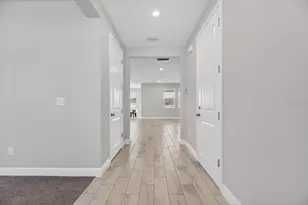 8816 Mugnai St, Riverview, FL 33578 - Photo 8