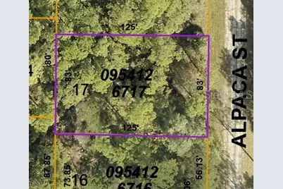 Lot 17 Alpaca Street, North Port, FL 34291 - Photo 1